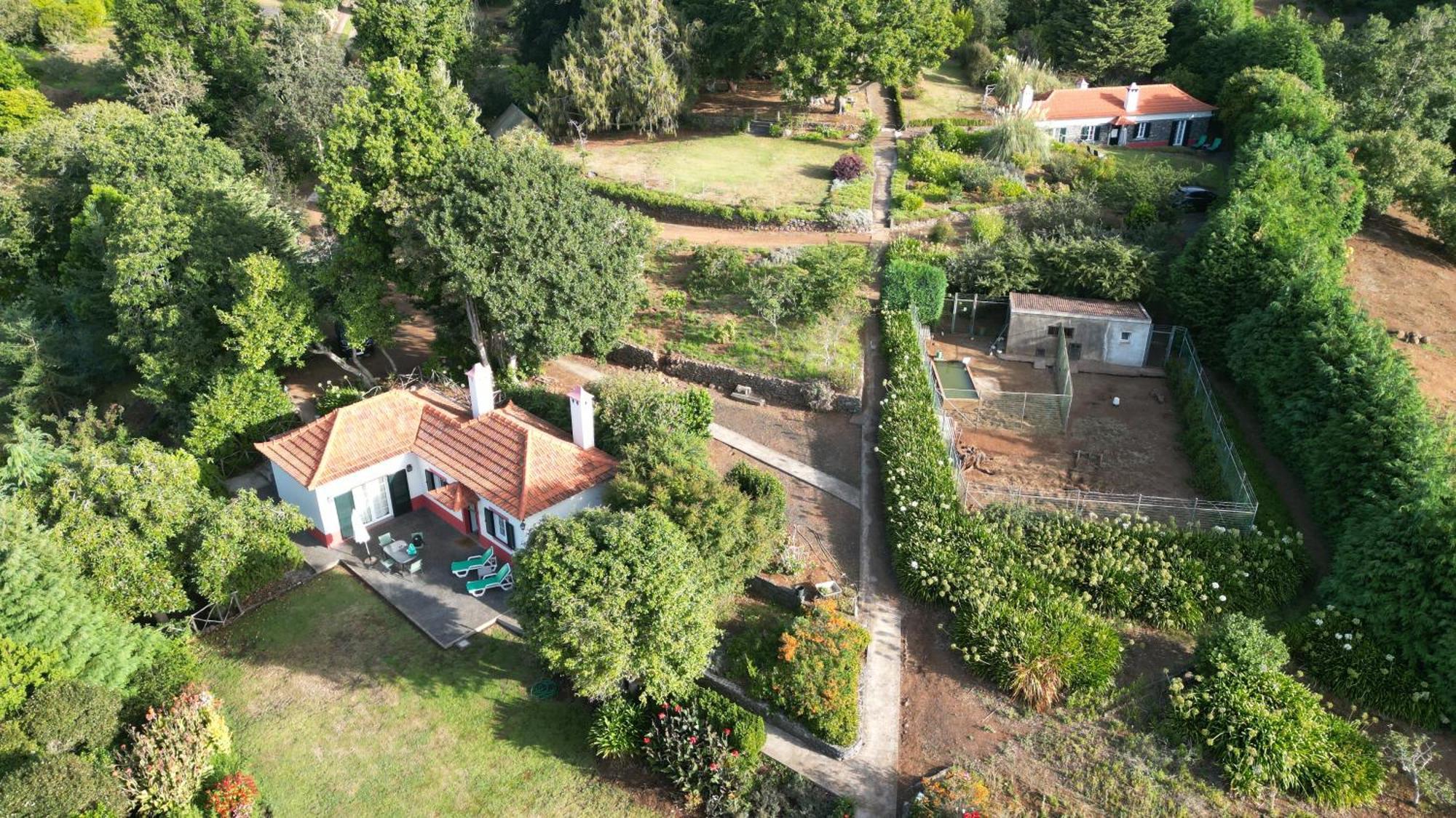 Quinta Das Faias Camacha  Cameră foto